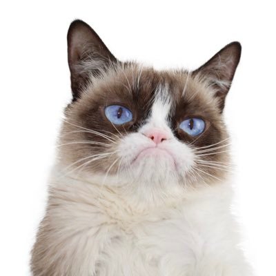 How Grumpy Cat Is Purrfect At Copywriting