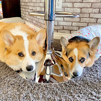 Hammy & Olivia