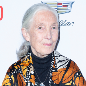 Jane Goodall