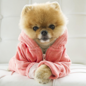 JiffPom