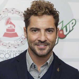 David Bisbal