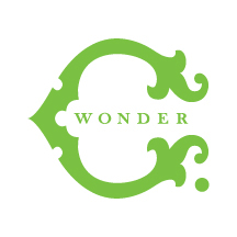 C. Wonder