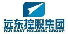 Far East Holding International Limited