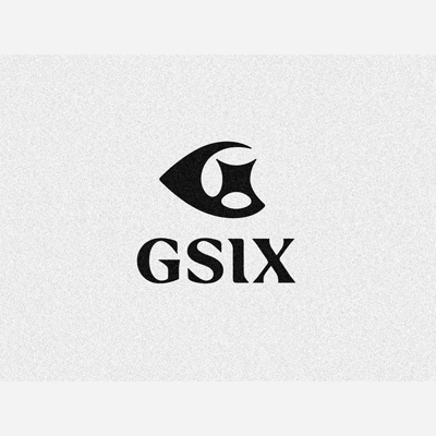 GSIX Workshop