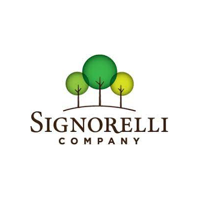 Signorelli