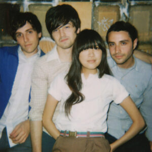 The Pains of Being Pure At Heart