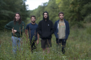 The Hotelier