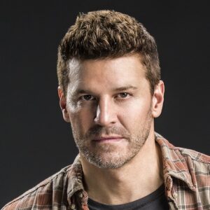 David Boreanaz