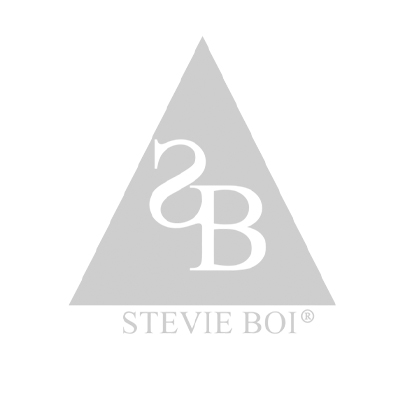 Stevie Boi