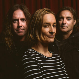 Spiderbait