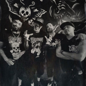 Hed PE