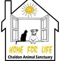 Chaldon Animal Sanctuary