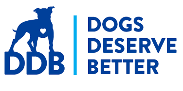 Dogs Deserve Better