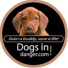 Dogs In Danger