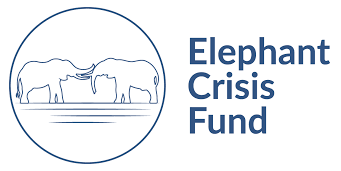 Elephant Crisis Fund