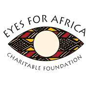 Eyes on Africa