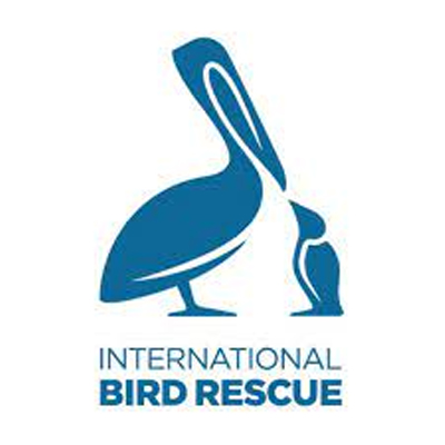 International Bird Rescue