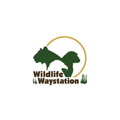 Wildlife Waystation