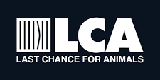 Last Chance for Animals