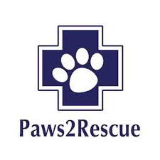 Paws2Rescue