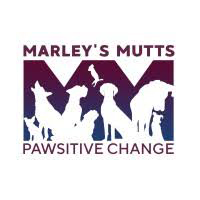 Pawsitive Change Program