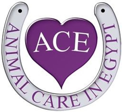 Ace Animal Care