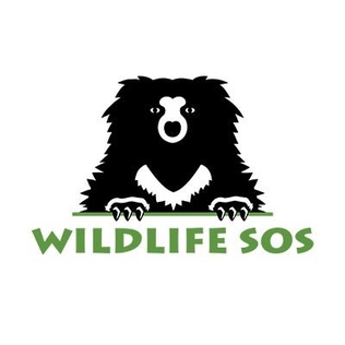 Wildlife SOS