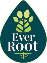 EverRoot