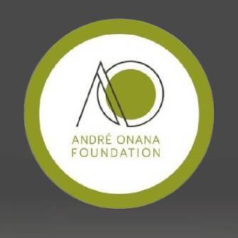 André Onana Foundation