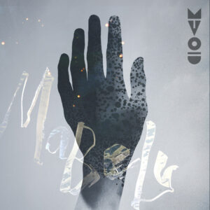 MTVoid