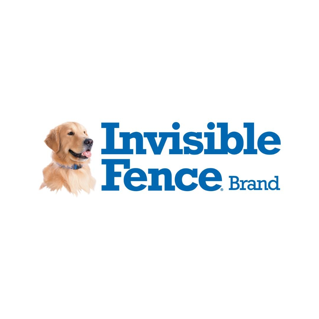 Invisible Fence