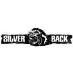 Silverback-Artist-Management-Information