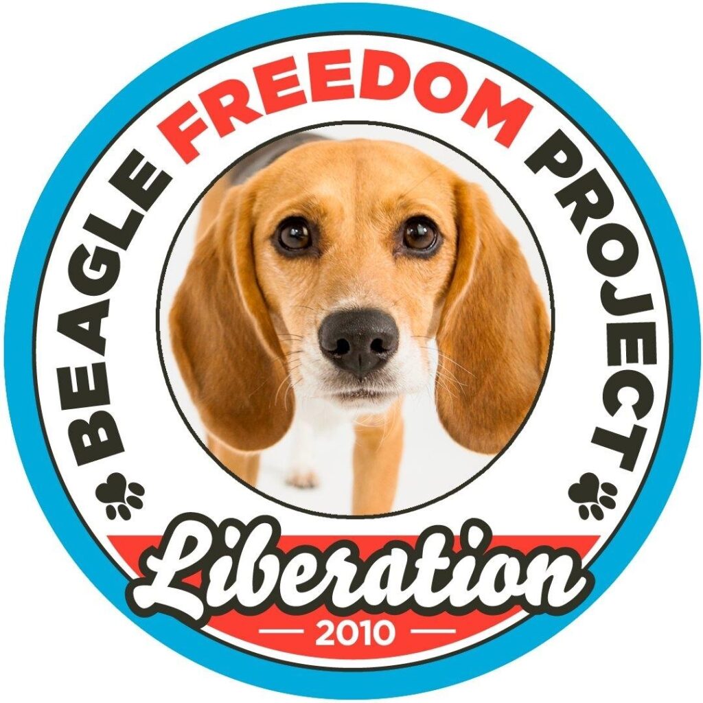 Beagle Freedom Project (BFP)