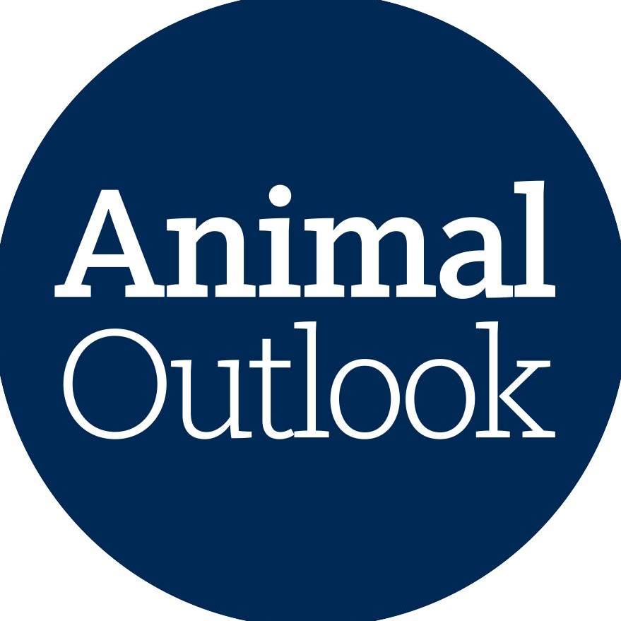 Animal Outlook