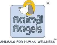 Animal Angels Foundation