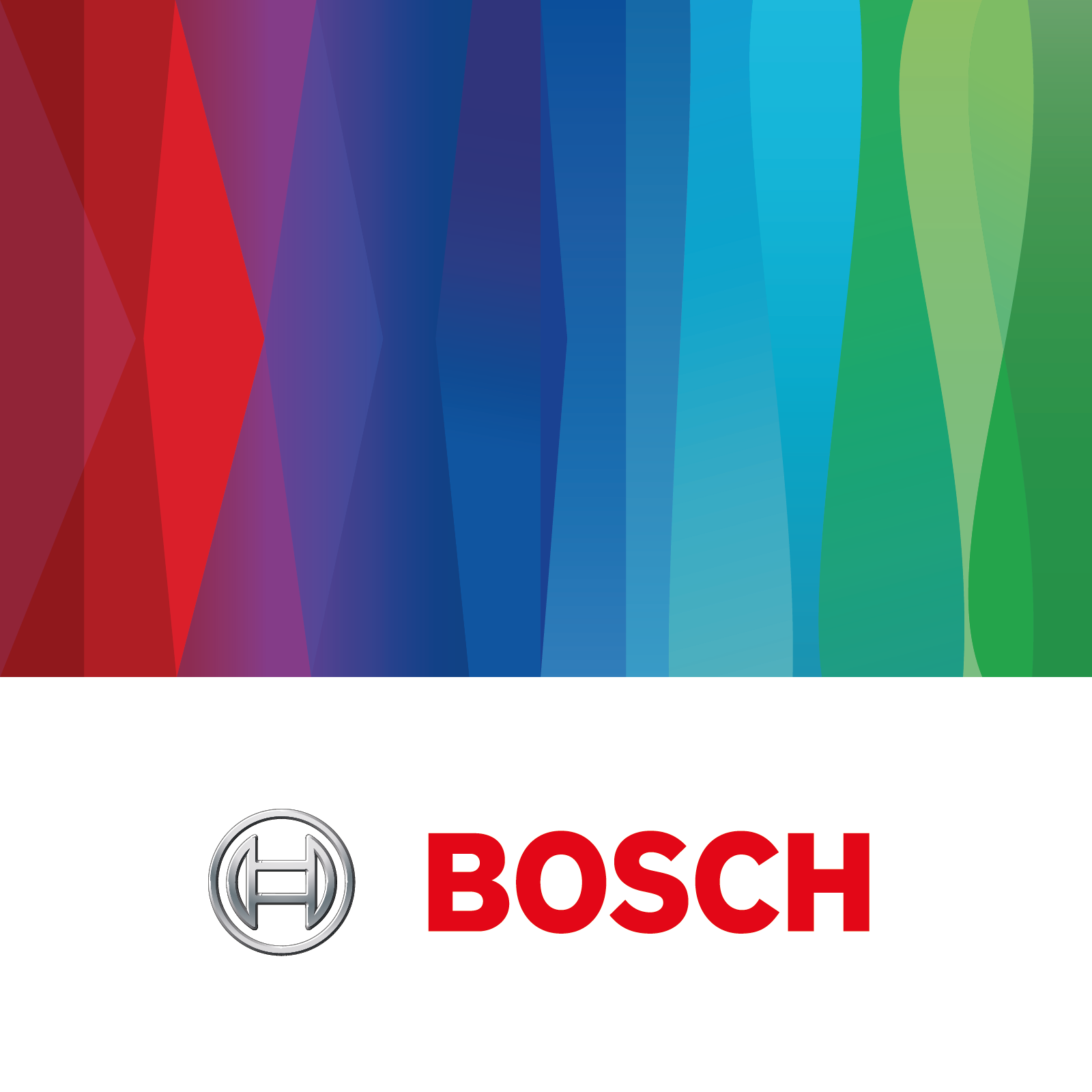 Bosch Professional