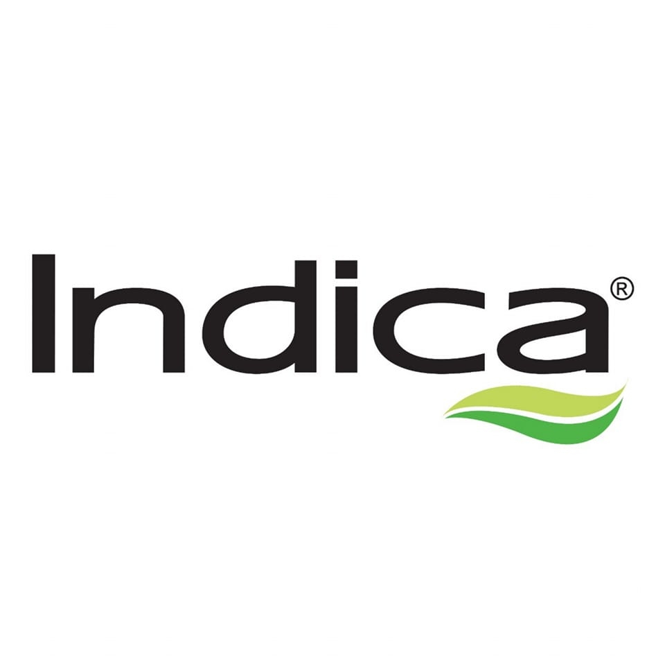 Indica Hair Color