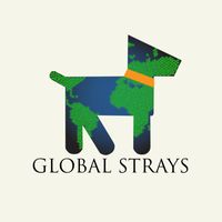 Global Strays