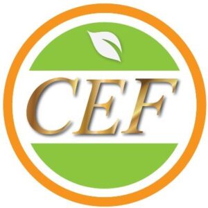 CEF Group