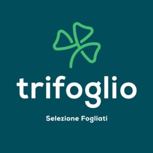 Trifoglio