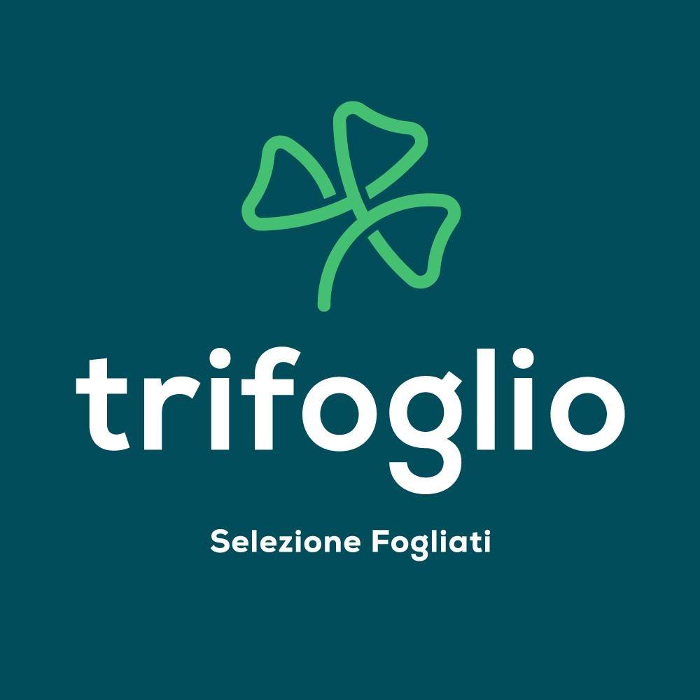 Trifoglio