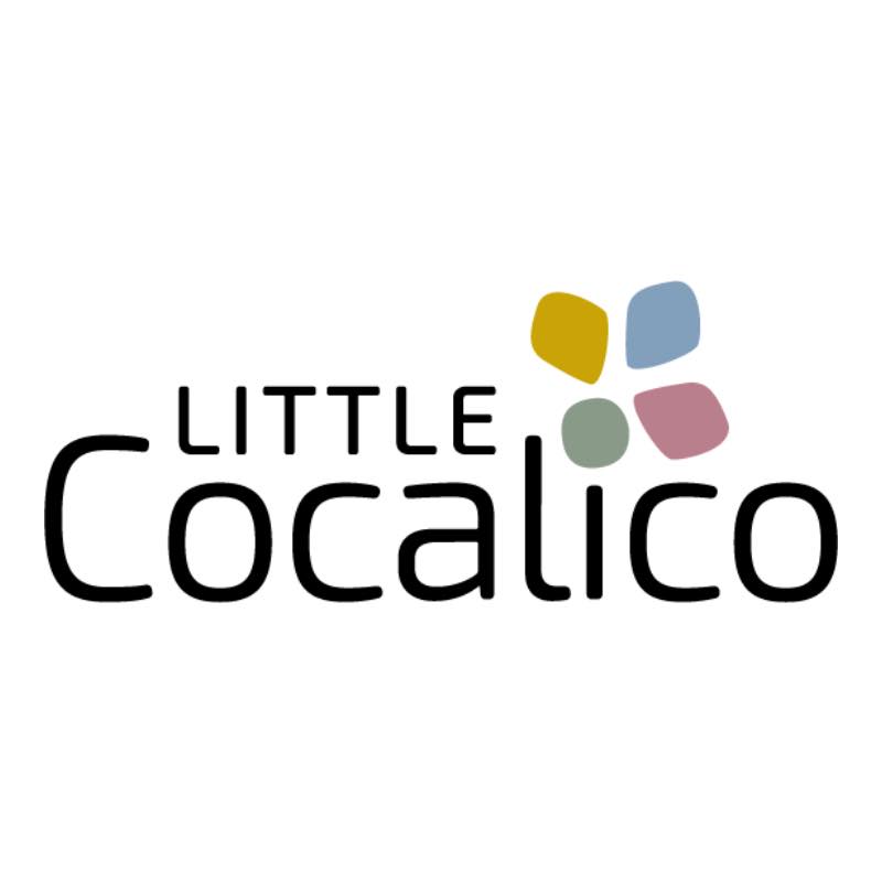 Little Cocalico