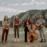 The Sweet Lillies