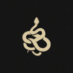 Client Image