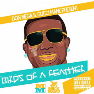 Album cover: Birds of a Feather 2