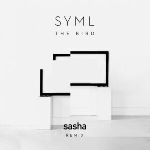 Album cover: The Bird (Sasha Remix)