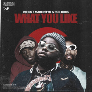 Album cover: What You Like (feat. PnB Rock & Madeintyo)