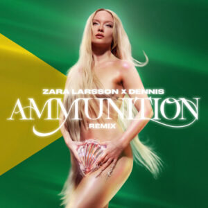 Album cover: Ammunition (DENNIS Remix)