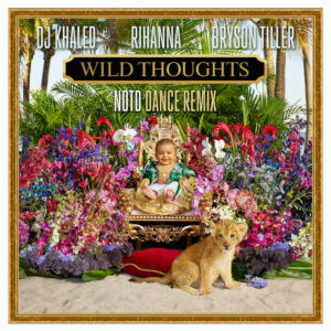 Album cover: Wild Thoughts (NOTD Dance Remix)