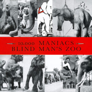 Album cover: Blind Man's Zoo